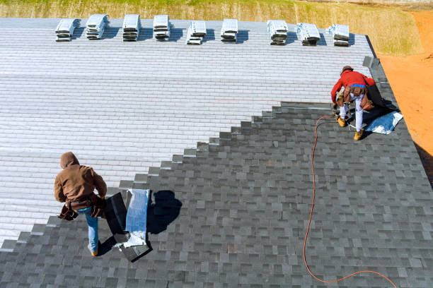 Best Roof Gutter Cleaning  in Amesti, CA